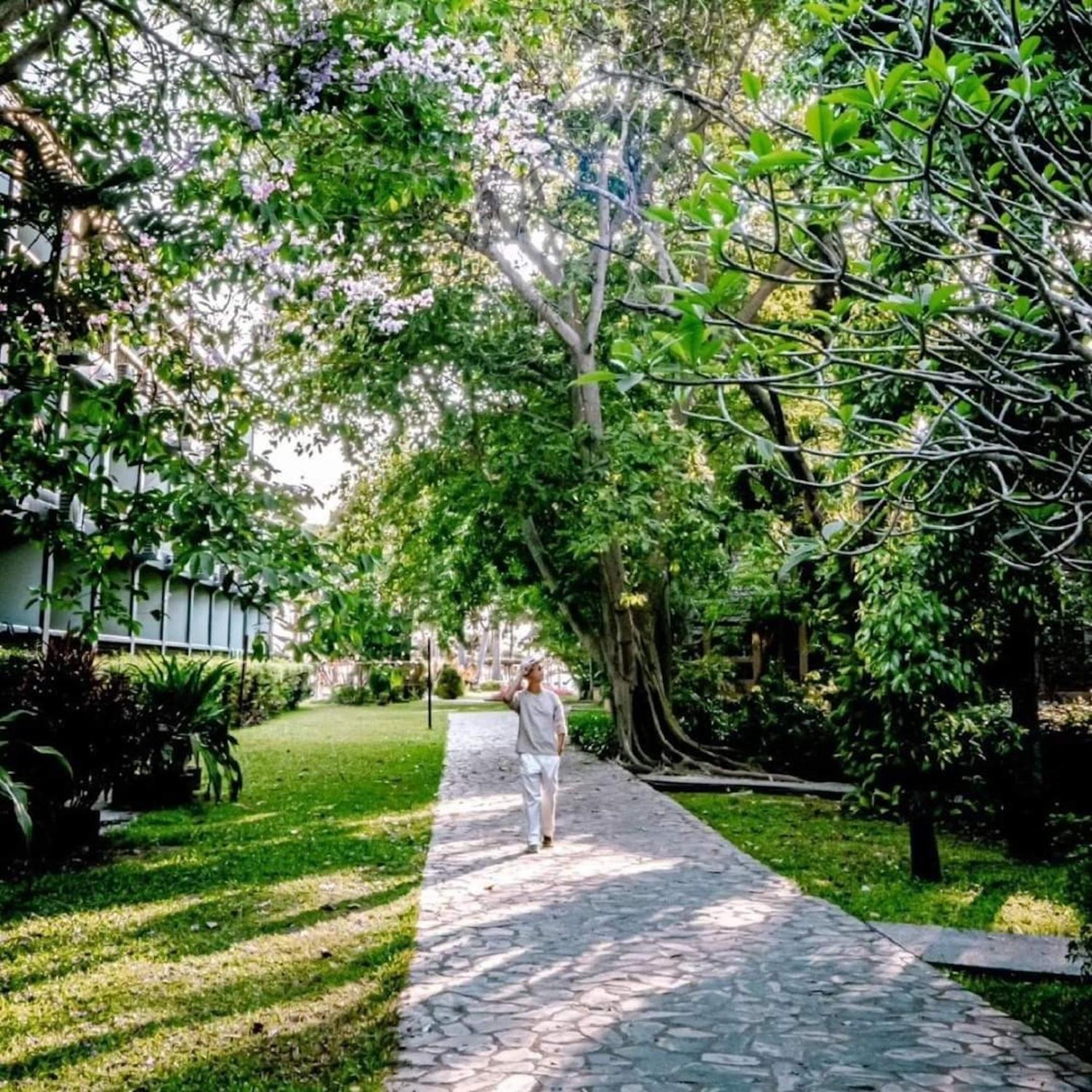 Botany Beach Resort Pattaya Na Chom Thian Eksteriør billede